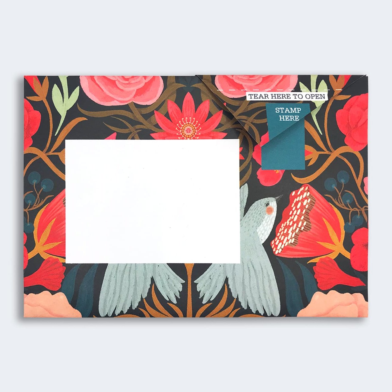 Pigeon - bright and beautiful Briefset