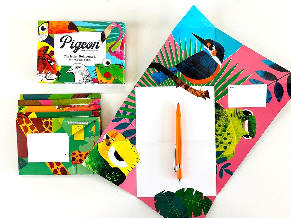 Pigeon - wild lives Briefset