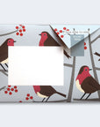 Pigeon - robin and wren Briefset